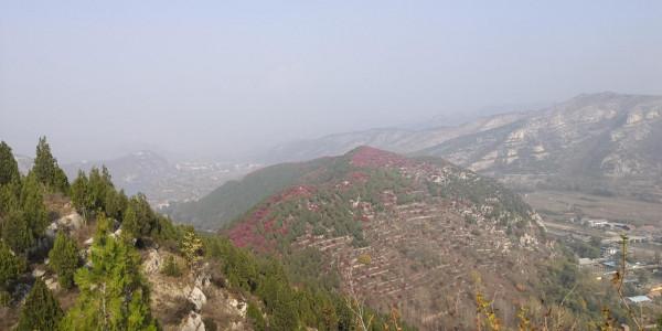 紅葉集之六——醉臥紅塵