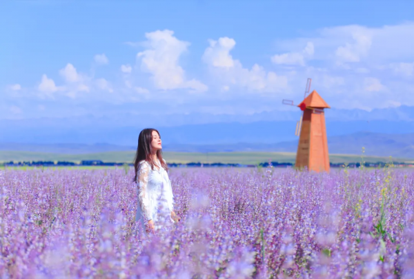 2021年，新疆非去不可，新疆怎麼玩，看完這一篇就夠了