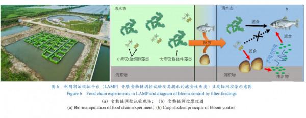 淺水湖泊物理-生態過程模擬平臺（湖泊模擬平臺）