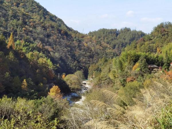 秋染大別山，最美是英山