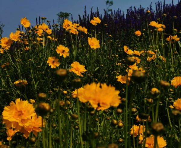 12星座的“廬山真面目”，你真的知道嗎？