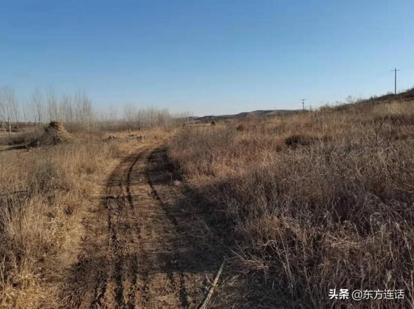 瀑河徒步：楊樹下的小路