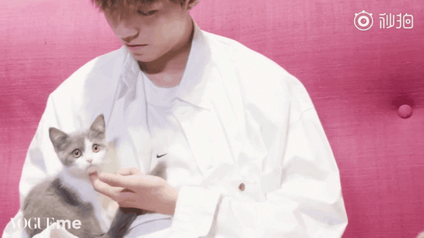 男明星的溫柔與寵溺都給了萌寵,好羨慕 男明星的溫柔與寵溺都給了萌寵,好羨慕