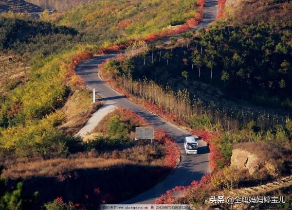 分享——美景小道