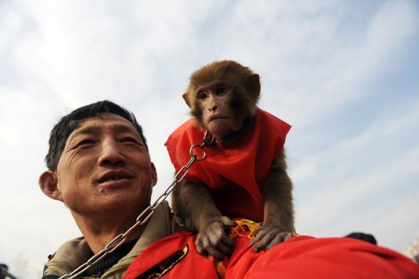 春節逛廟會，河南最熱鬧的10個廟會，滿滿的都是童年的回憶