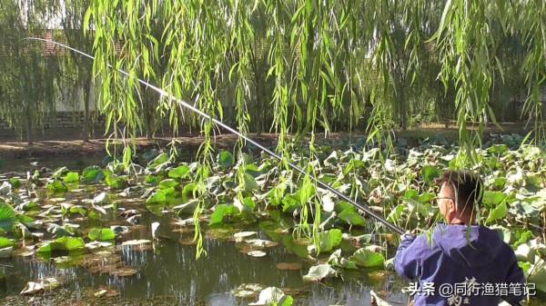 天冷了，你是否也在心心念念苦尋一款戳草洞的優秀傳統釣竿？