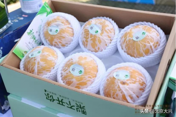 大興的“金字招牌”榮獲多個獎項！！