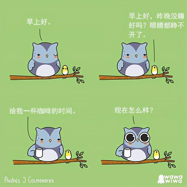 一組治癒系的小幽默，一個溫暖的小驚喜