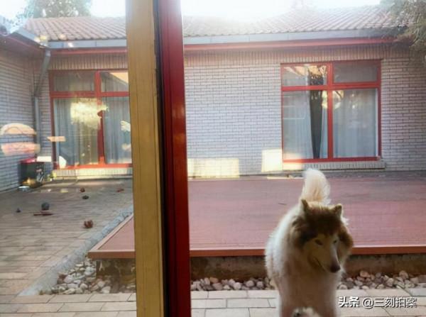 來看看明星跟歷史有名的四合院吧