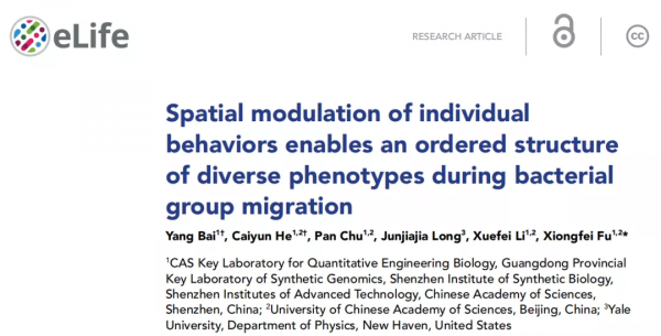 專訪傅雄飛丨合成生物技術為複雜生命系統提供更多研究手段