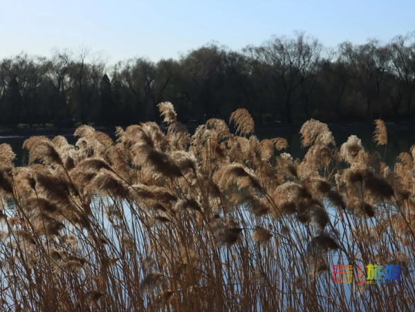 大雪丨冬日最適合做的9件事，你完成幾件了？