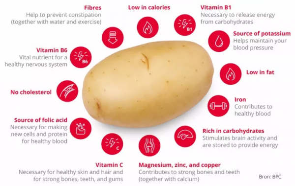 5大公認減肥替代主食，熱量低、味道好、更便捷，每天吃更瘦身