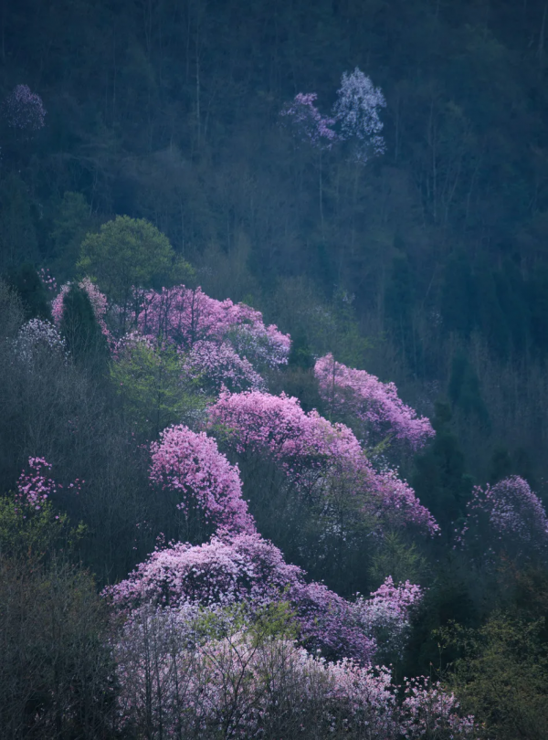 ​陽春3月，草長鶯飛！3月最值得去的12個旅行地，不需攻略，不費錢