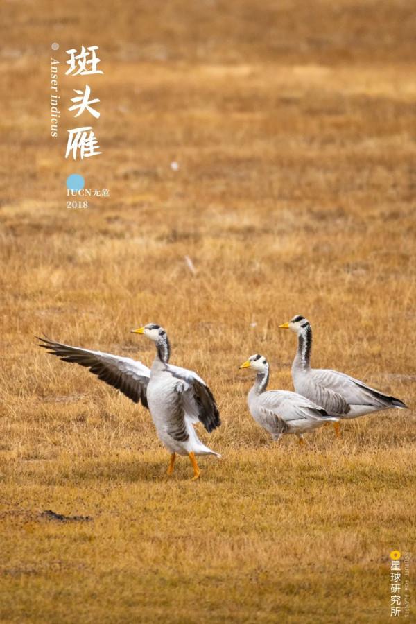 出發！看中國五大國家公園