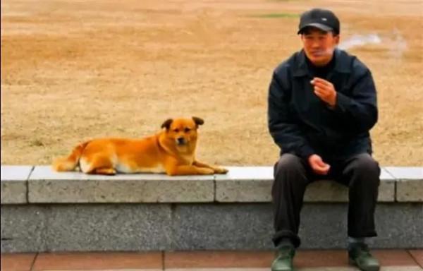 他殺人,狗吃人,93年參演電影《老人與狗》,拍完後人狗皆被處死 他殺人,狗吃人,93年參演電影《老人與狗》,拍完後人狗皆被處死