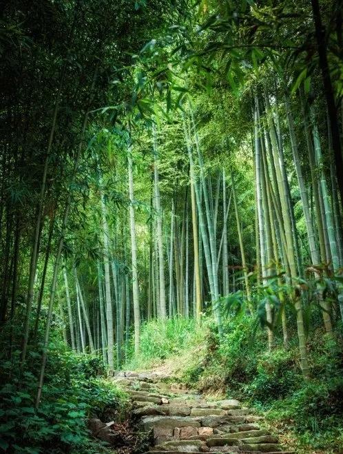 江南第一山 江南第一山