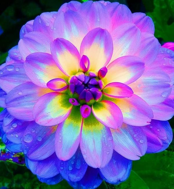 成年人玩得這麼野，小心把命都玩丟了