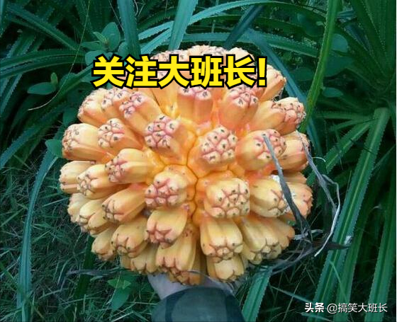 那些炒火了的文玩，買回來就涼涼了，說多了都是眼淚恨不得剁手