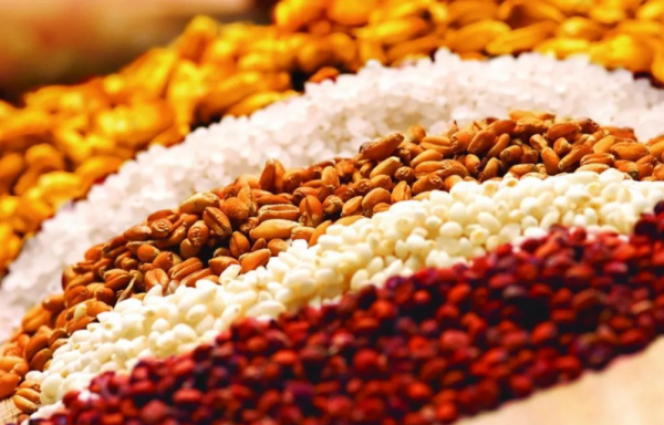 同是農業大國，為何印度出口糧食，而我國不缺糧卻要到處買糧