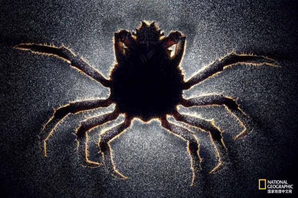 為什麼要保護這麼卑鄙的東西? 為什麼要保護這麼卑鄙的東西?