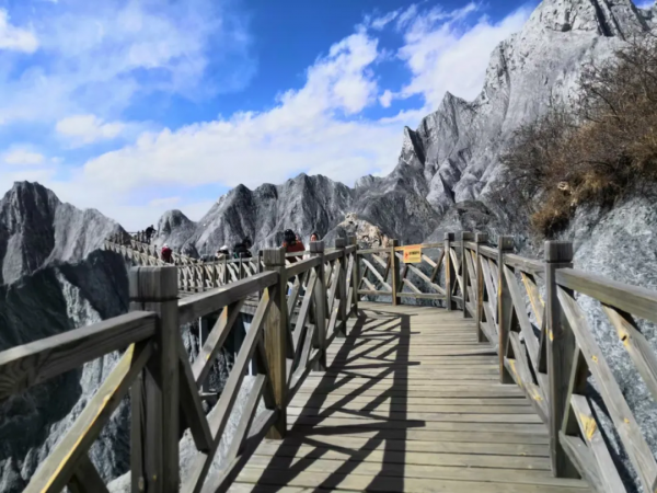 初秋來四川,帶你去看“海”!不信? 初秋來四川,帶你去看“海”!不信?