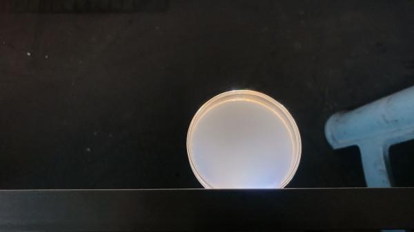 好久沒聊青空燈了，3個月時間，數百次實驗之後，面板做出來了