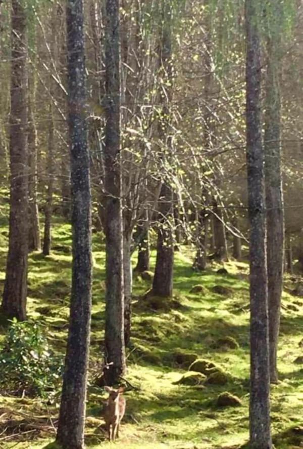 人說，休息是為了走更長遠的路