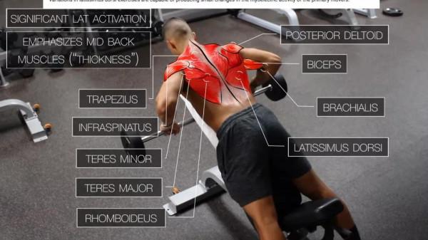 一套最全面高效的「上半身」訓練，胸背肩臂都能練到