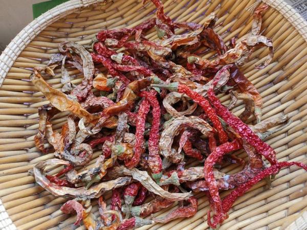 P50 Pocket挺適合當備機，如果你捨得買且買得到