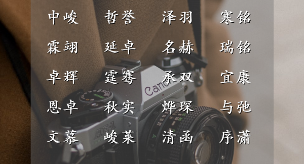 精煉無雙的男孩名字，起鳳騰蛟，典則俊雅