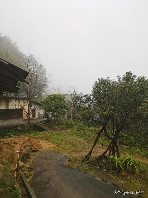 廣西深山美景，這是傳說中的仙境嗎？