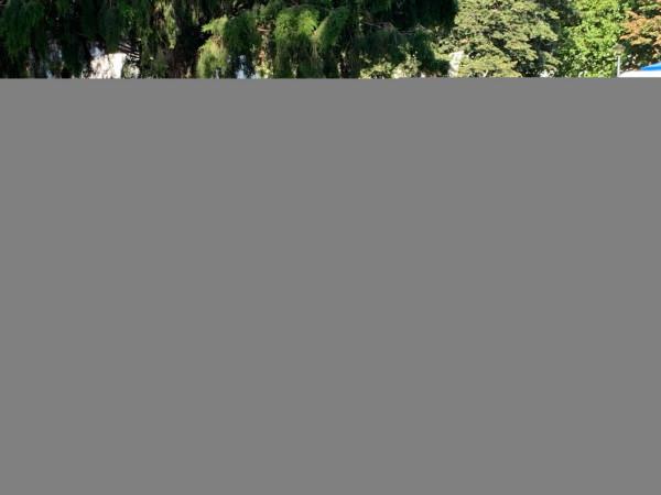 2019暑假塞爾維亞、波黑之旅（2）