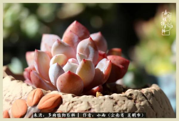 用一份熱愛，溫暖一段時光