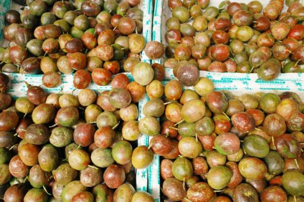 在這裡我毫不焦慮，還實現了水果自由