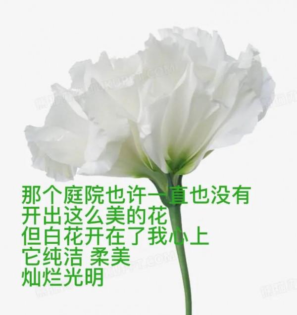當年劊子手 生日這天懺悔過去中另一個悲傷記憶，她依舊痛苦不堪