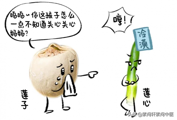 蓮子能補脾固腎清心，但你要會吃，學會這四種搭配，事半功倍