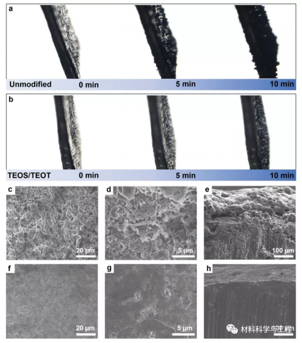 江蘇師大《AFM》：為長週期鋰金屬陽極提供堅固的SEI