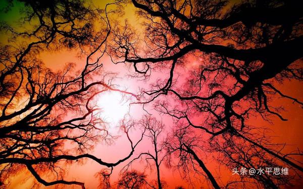 思維的決斷性特色！毛主席領導力思維藝術研究