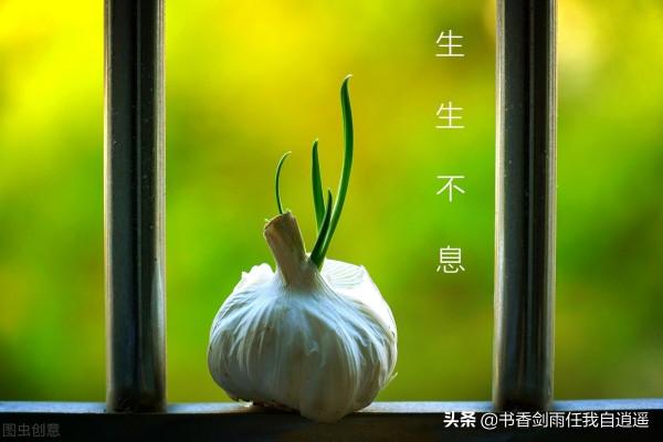 孩子,無論多難,請告訴自己,再堅持一下 孩子,無論多難,請告訴自己,再堅持一下