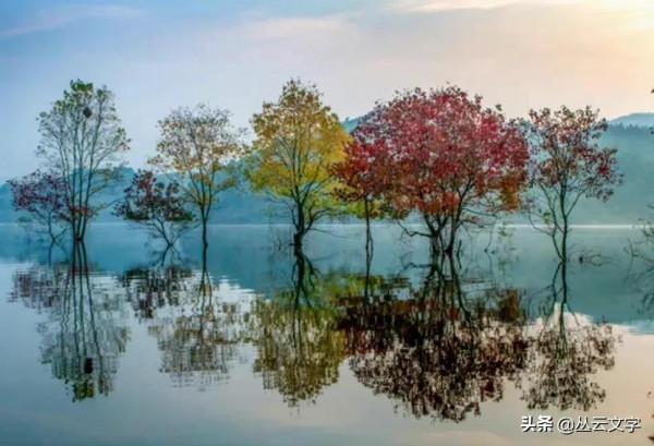 蘇東坡最為經典的50首詩詞,文彩四溢、南州冠冕 蘇東坡最為經典的50首詩詞,文彩四溢、南州冠冕