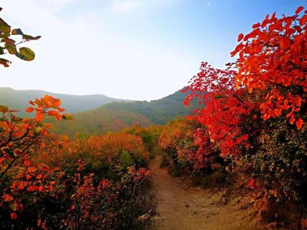 太行山最美的秋色在這裡