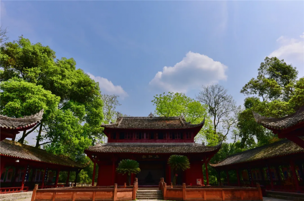 40+張大片!帶你領略這裡的“鳥禽圖鑑”! 40+張大片!帶你領略這裡的“鳥禽圖鑑”!