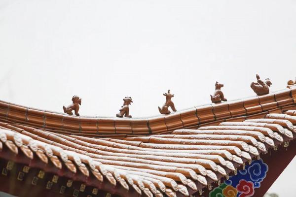 一起賞雪呀 | 今冬福建的初雪可能就要來啦！