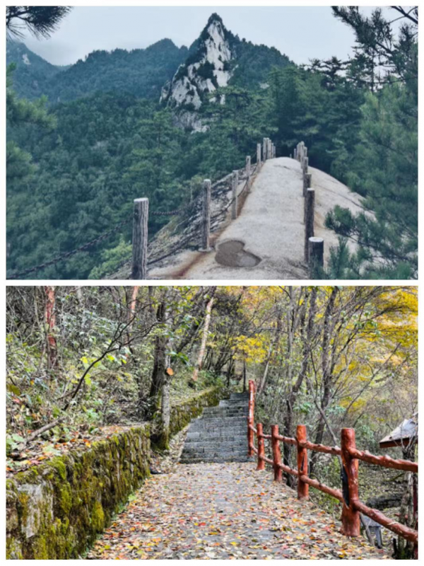 桂子 || 七絕·秦嶺秋意四題