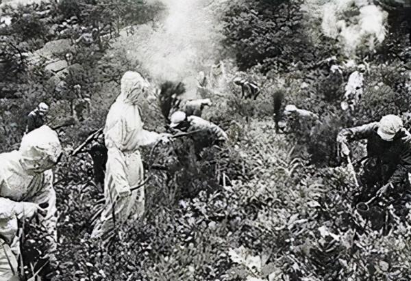 抗美援朝志願軍共失去4位軍長，一位因為細菌戰，三位犧牲於空襲