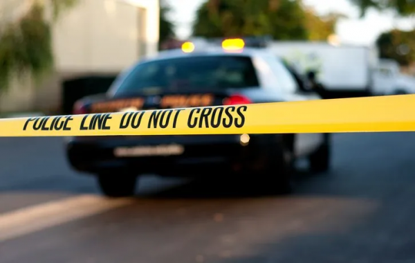 洛杉磯妹子封城在家聞死魚味2個月，警方破門“飛出上千只蟲”，發現鄰居成腐屍