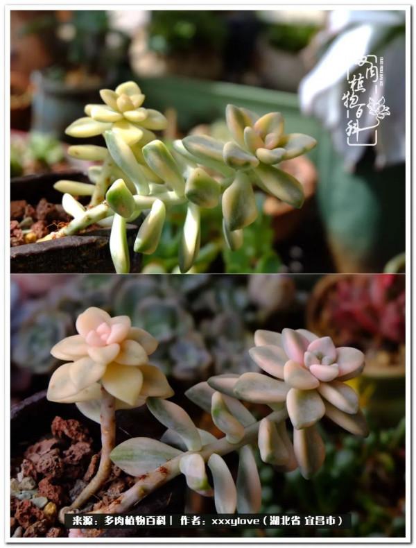 時光匆匆，一閃而逝，這世間萬物的美，都值得被記錄