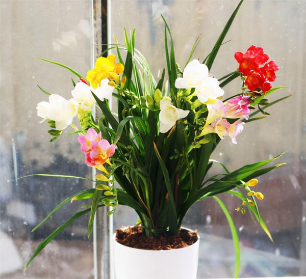 適合立冬後養的“9種花”,喜歡溫涼愛開花,有的花美,有的花香 適合立冬後養的“9種花”,喜歡溫涼愛開花,有的花美,有的花香