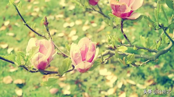 “親戚借錢買房，拒絕後翻臉”：有些關係，不必精心維護