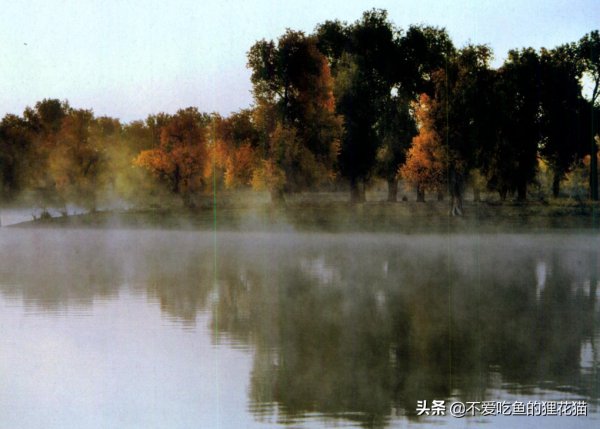 1916年，當最後一隻新疆虎被打死之後